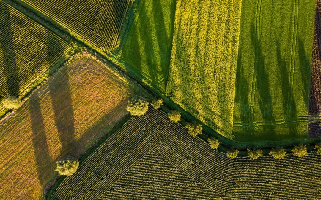 How Satellite Imagery and Earth Observational Data are changing the Agricultural Game￼