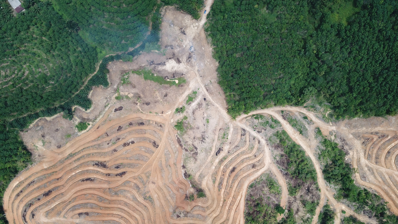 Satellite imagery for EUDR compliance